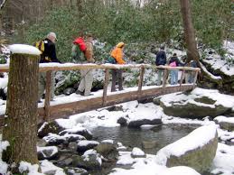 Wilderness Wildlife Week 2014 Wilderness Wildlife Hiking in the Snow, Autumn Ridge Cabin Rentals