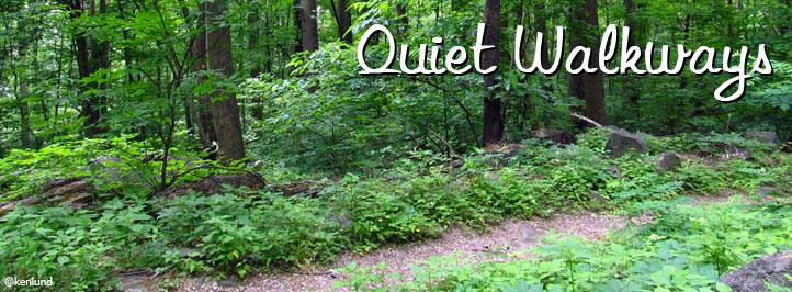 Best Short Hikes in the Smokies Best Hikes in the Smokies - Quiet Walkways Hiking Trails